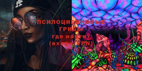 прущие крисы Магадан