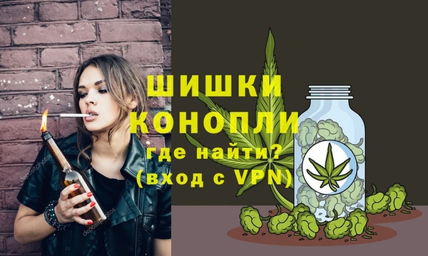 молекула духа Липки
