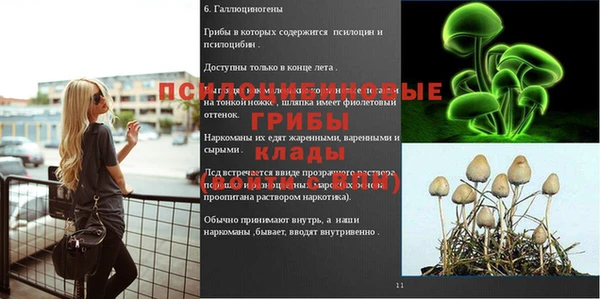 MDMA Premium VHQ Майский
