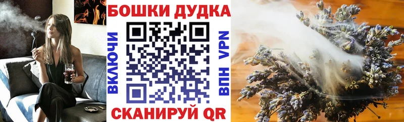 Бошки Шишки ГИДРОПОН  ссылка на мегу ССЫЛКА  Хабаровск 